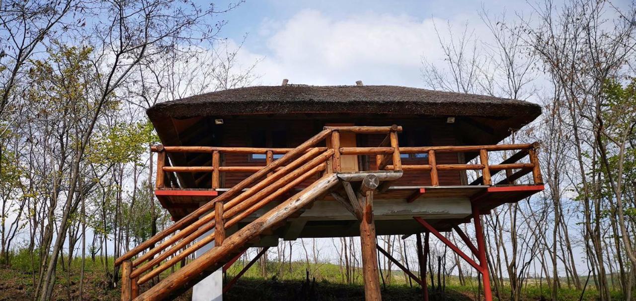 Hotel Ferma Dacilor Tohani Exterior foto
