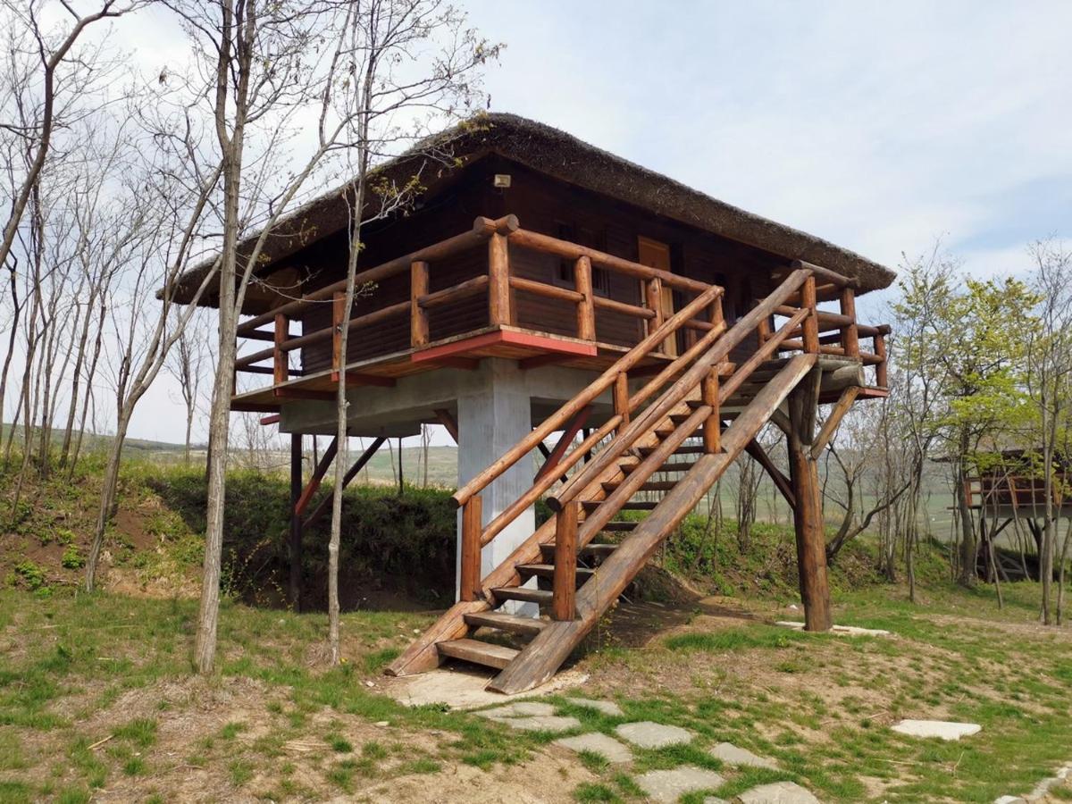 Hotel Ferma Dacilor Tohani Exterior foto